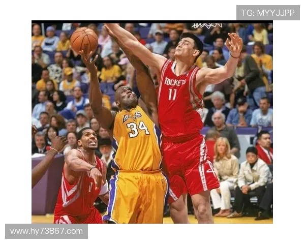 2009年NBA赛季姚明的辉煌表现与伤病困扰的双重挑战分析